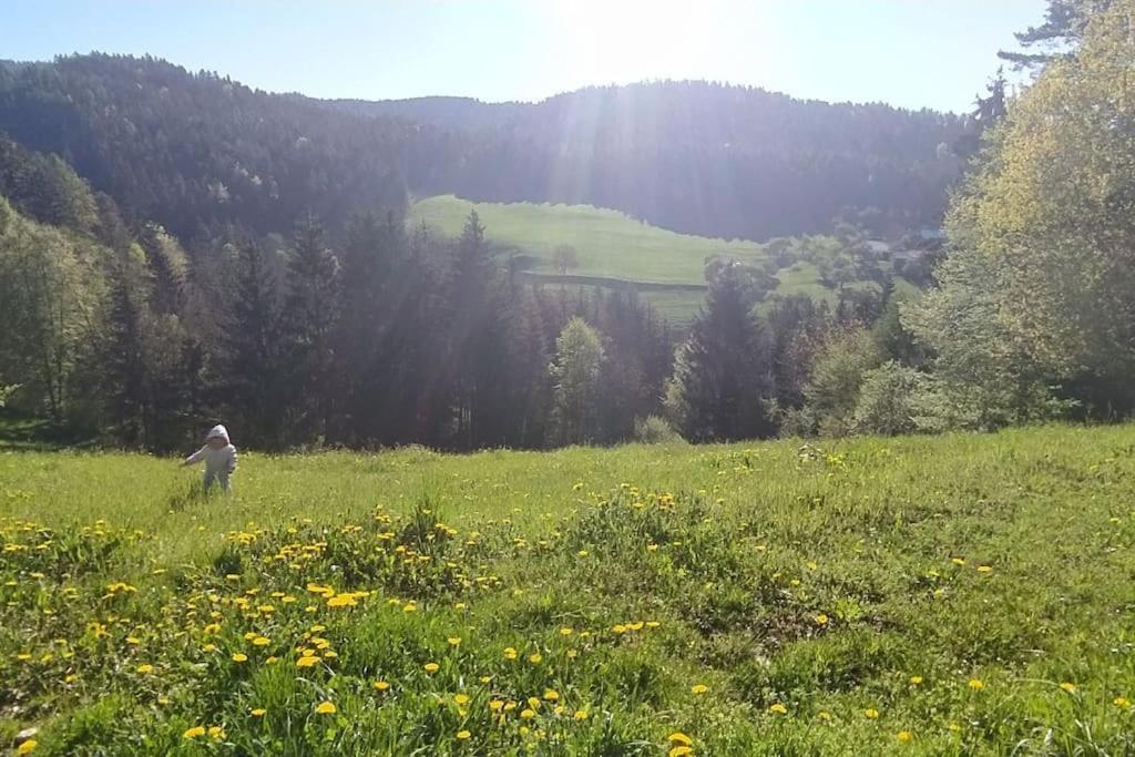 Apartmán Kmetija Pecnik Prevalje Exteriér fotografie