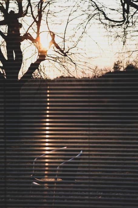 Apartmán Kmetija Pecnik Prevalje Exteriér fotografie